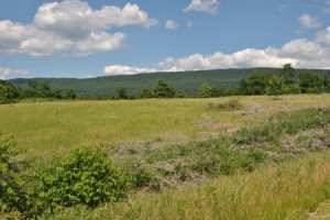 lot-21-looking-east-location-14